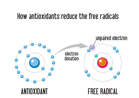 antioxidants and free radicals