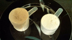 scoop of chocolate protein scoop of vanilla protein