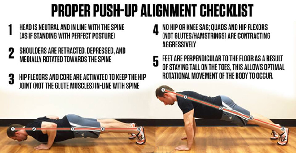 push up alignment diagram showing proper form and engage muscles