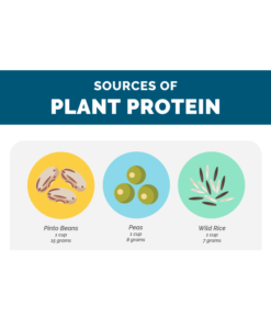 plant protein cover