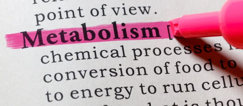metabolism definition