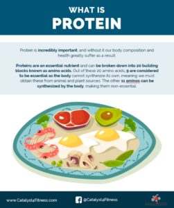 protein 101 cover