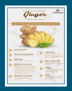 science of spices ginger cover