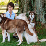 Sharon Chamberlin and her huskies