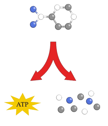 The process of catabolism shown with molecules and adenosine triphosphate